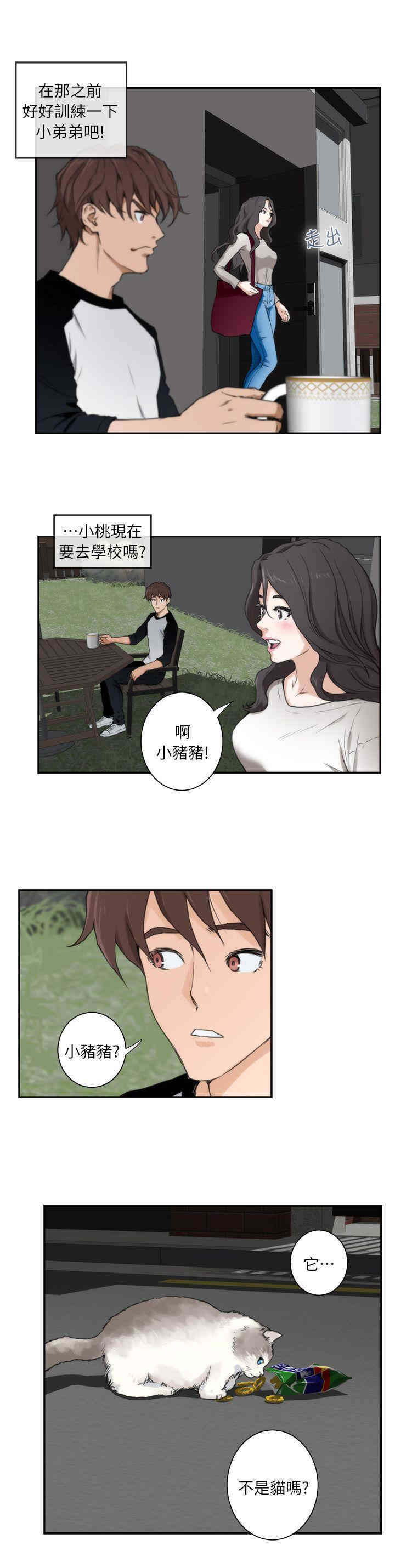 第17张