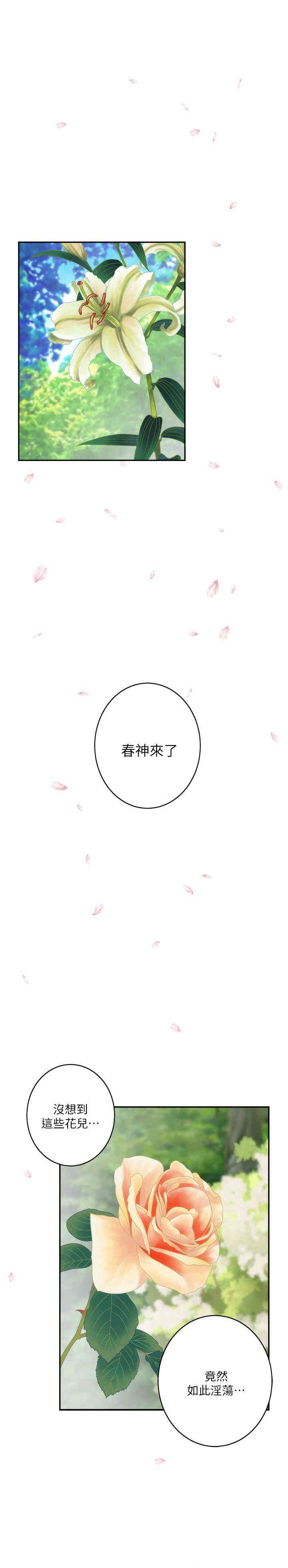 第25张
