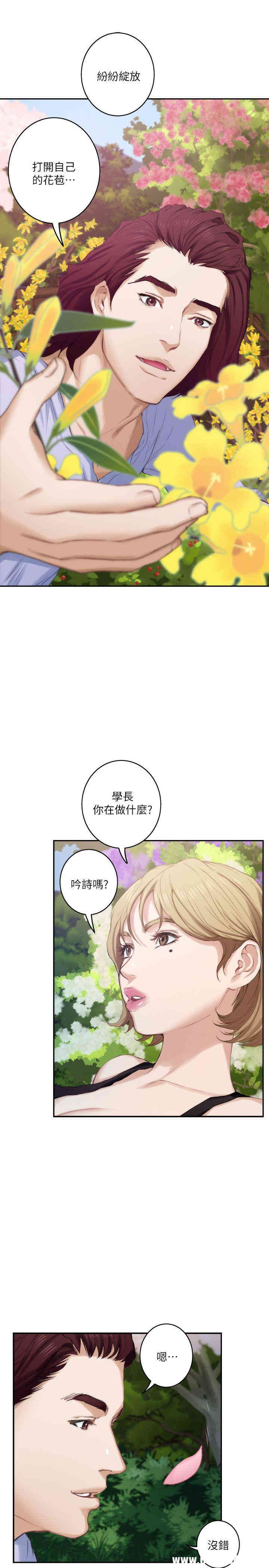 第26张