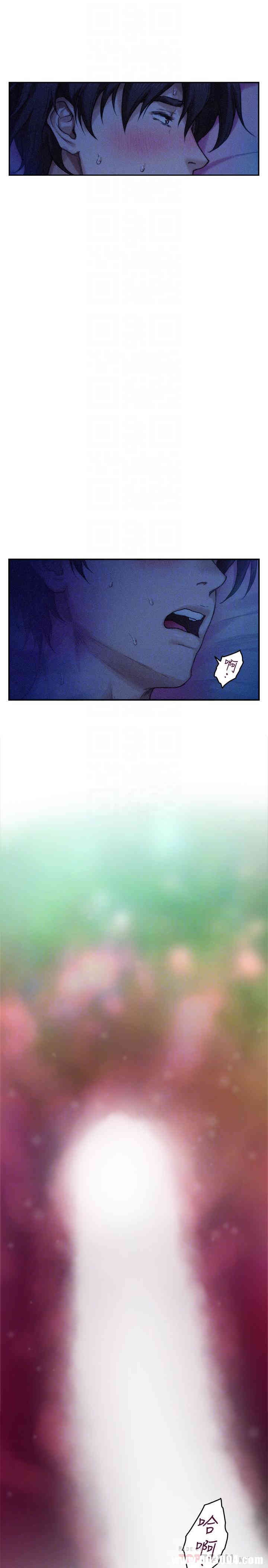 第14张
