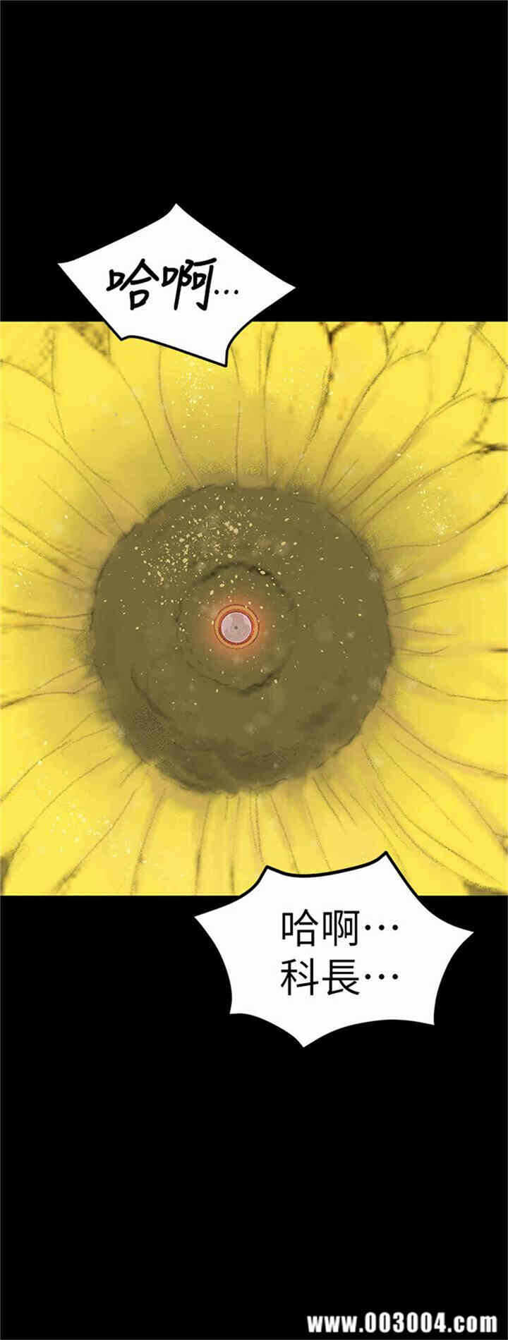 第35张