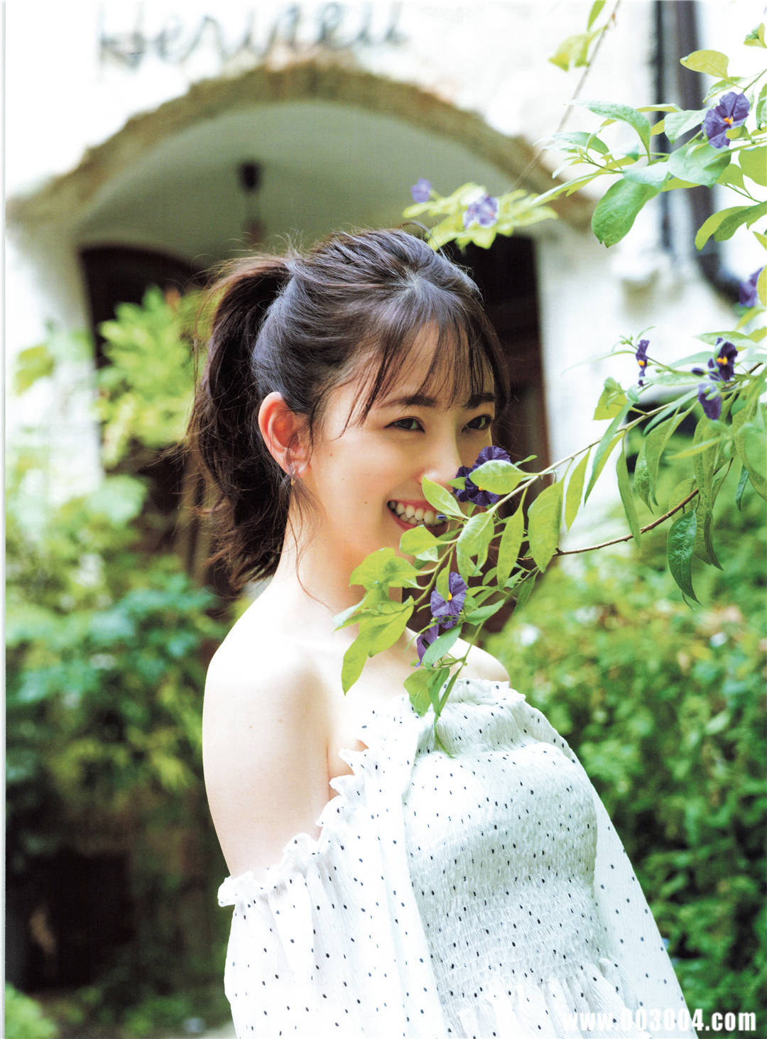 第24张
