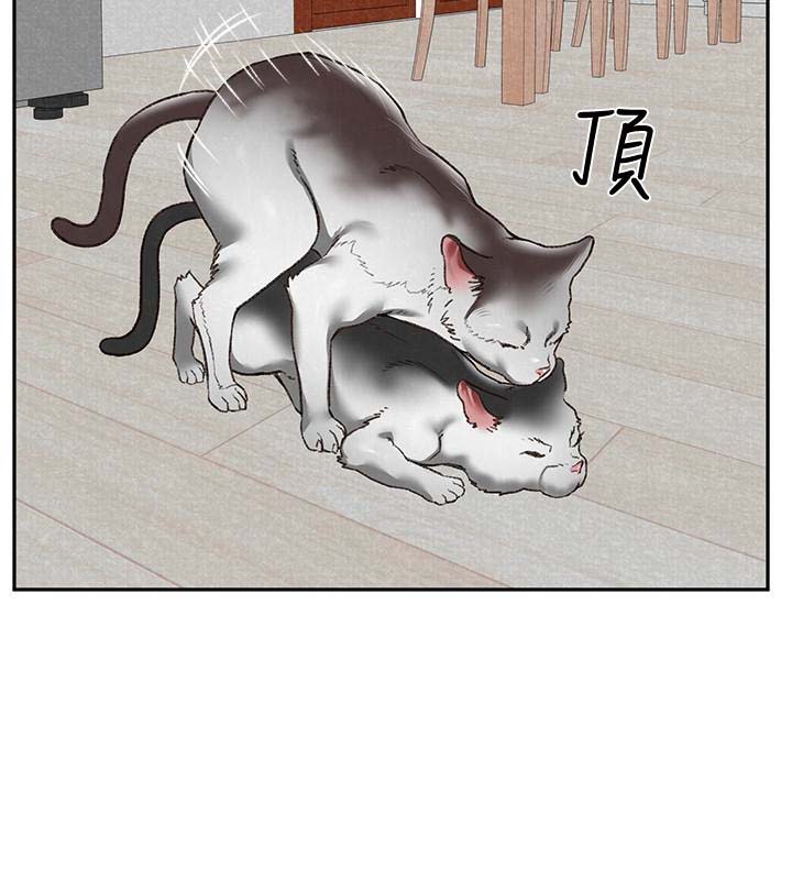第4张