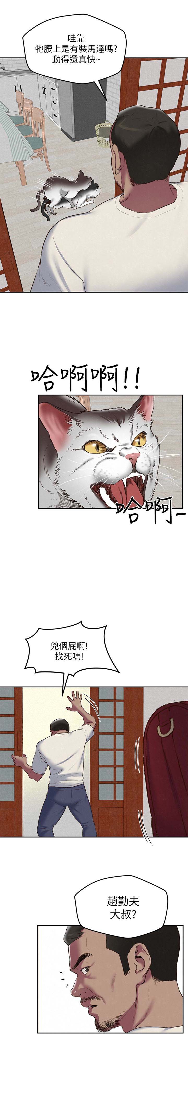 第5张