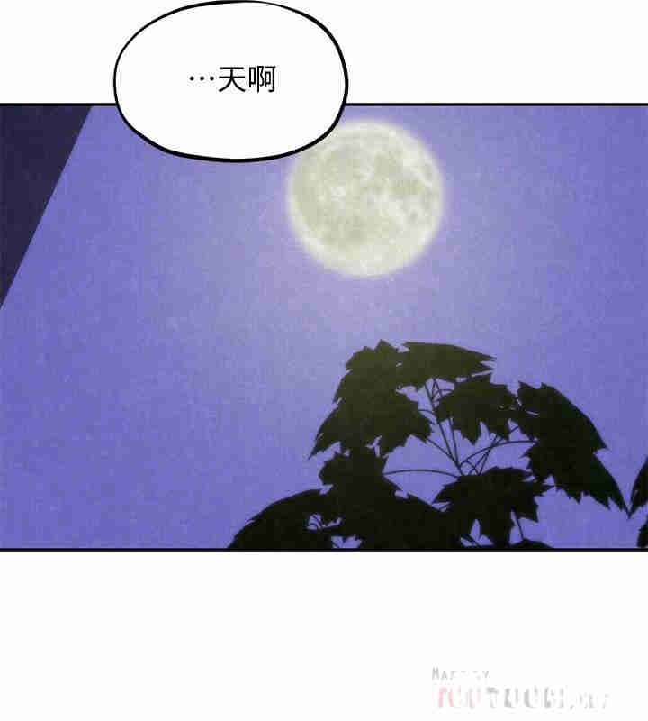 第14张