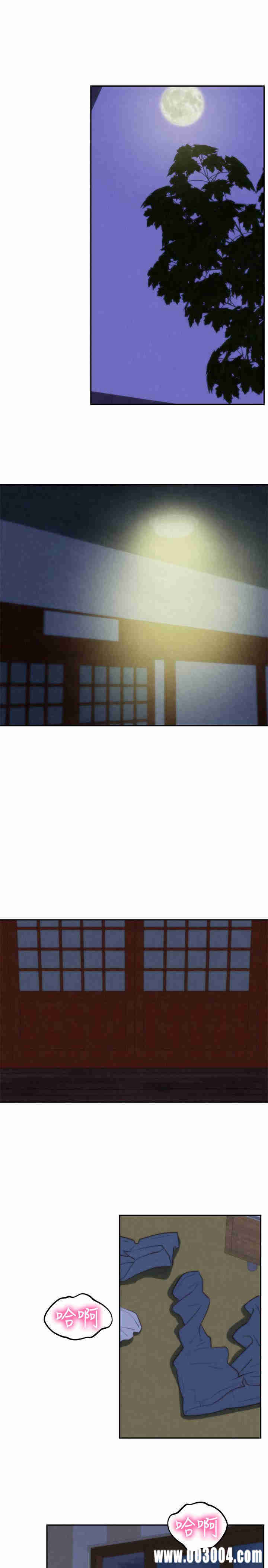 第13张