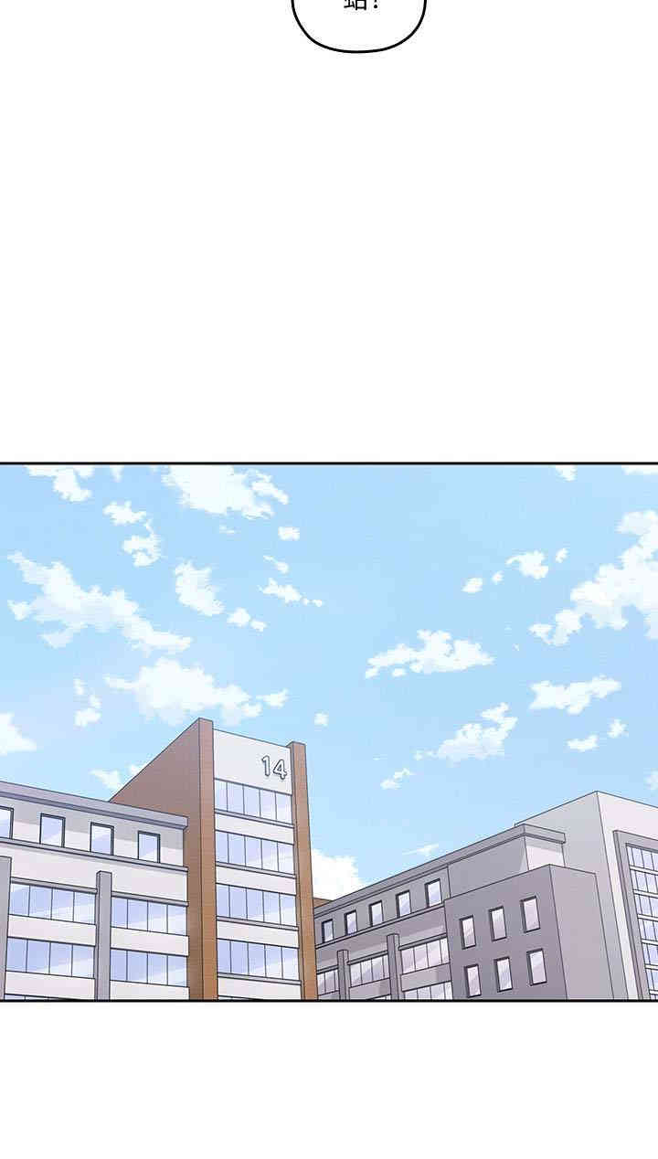 第14张