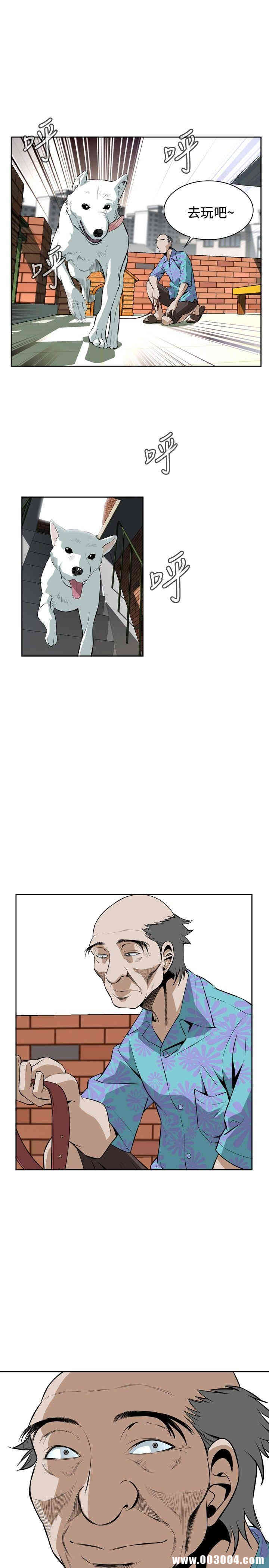 第25张