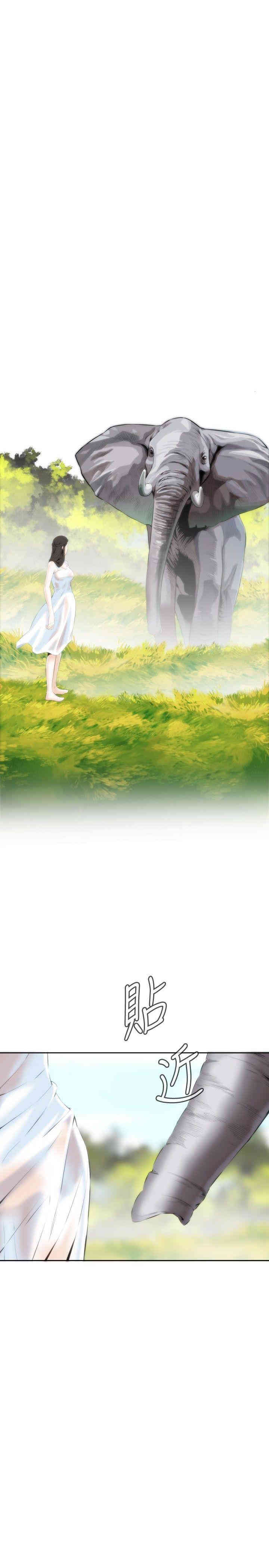 第22张