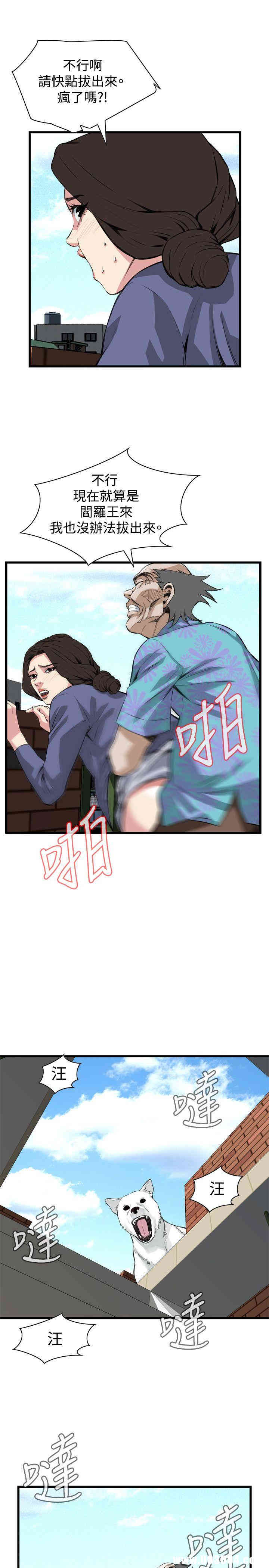第21张