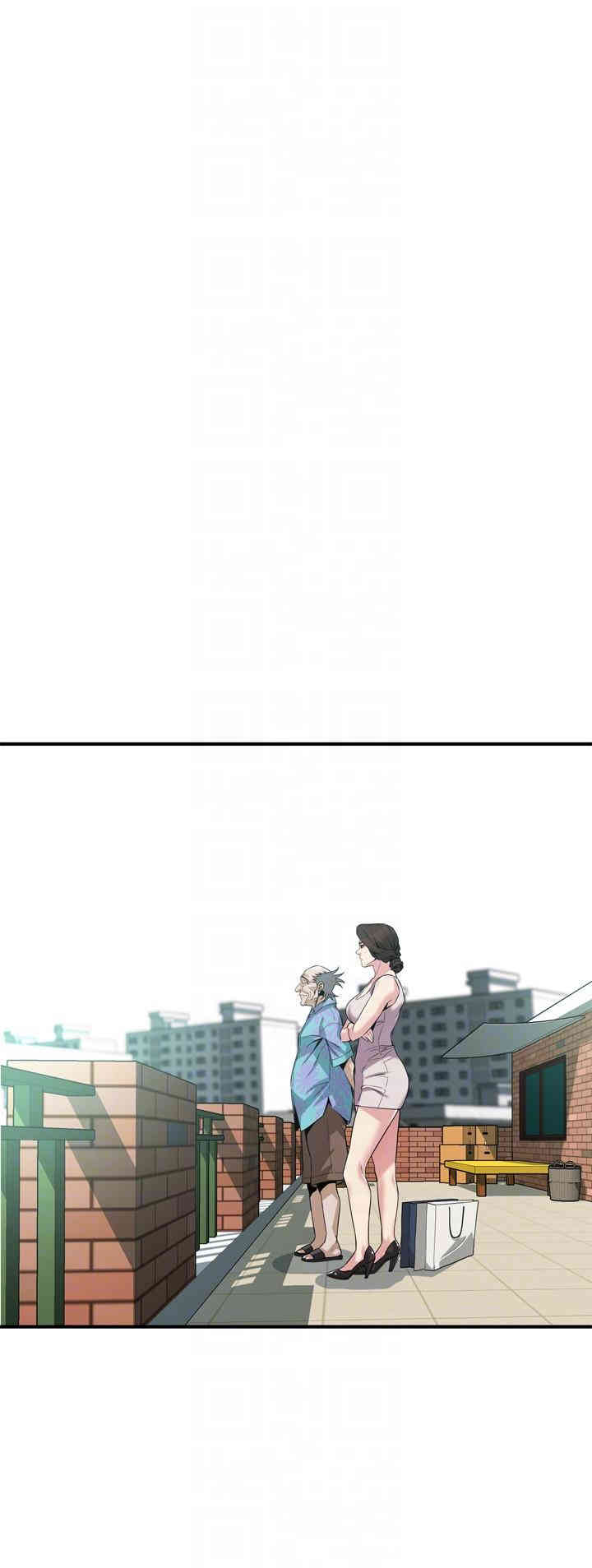第23张