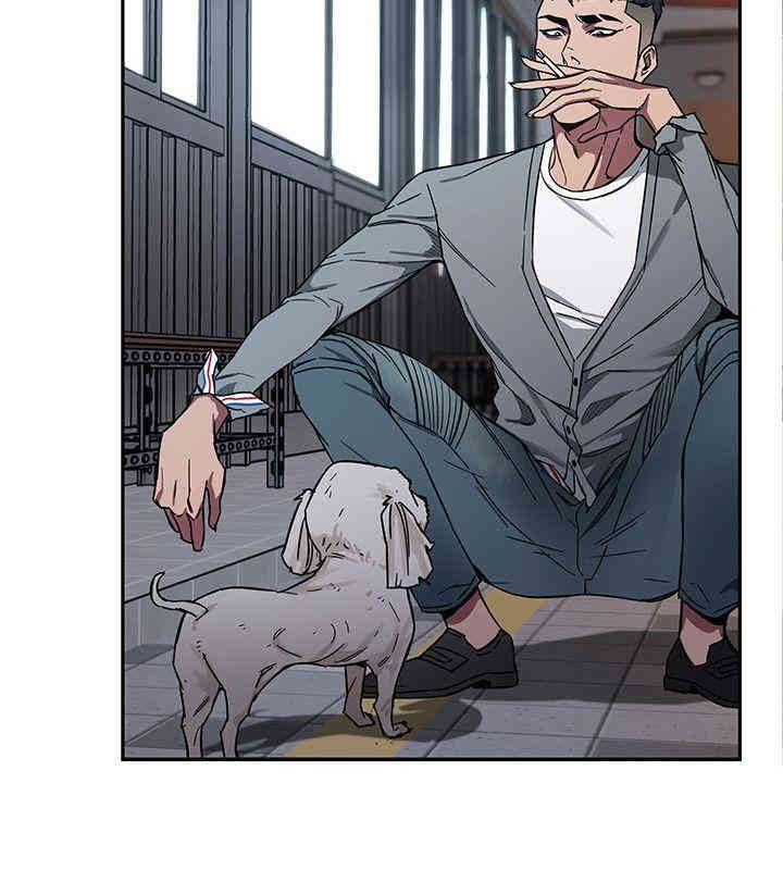 第35张