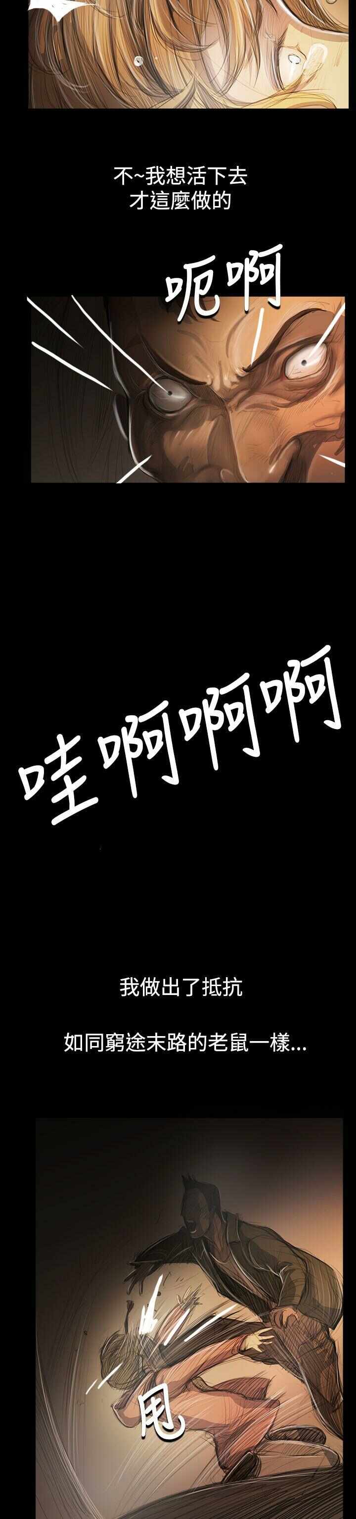 第29张