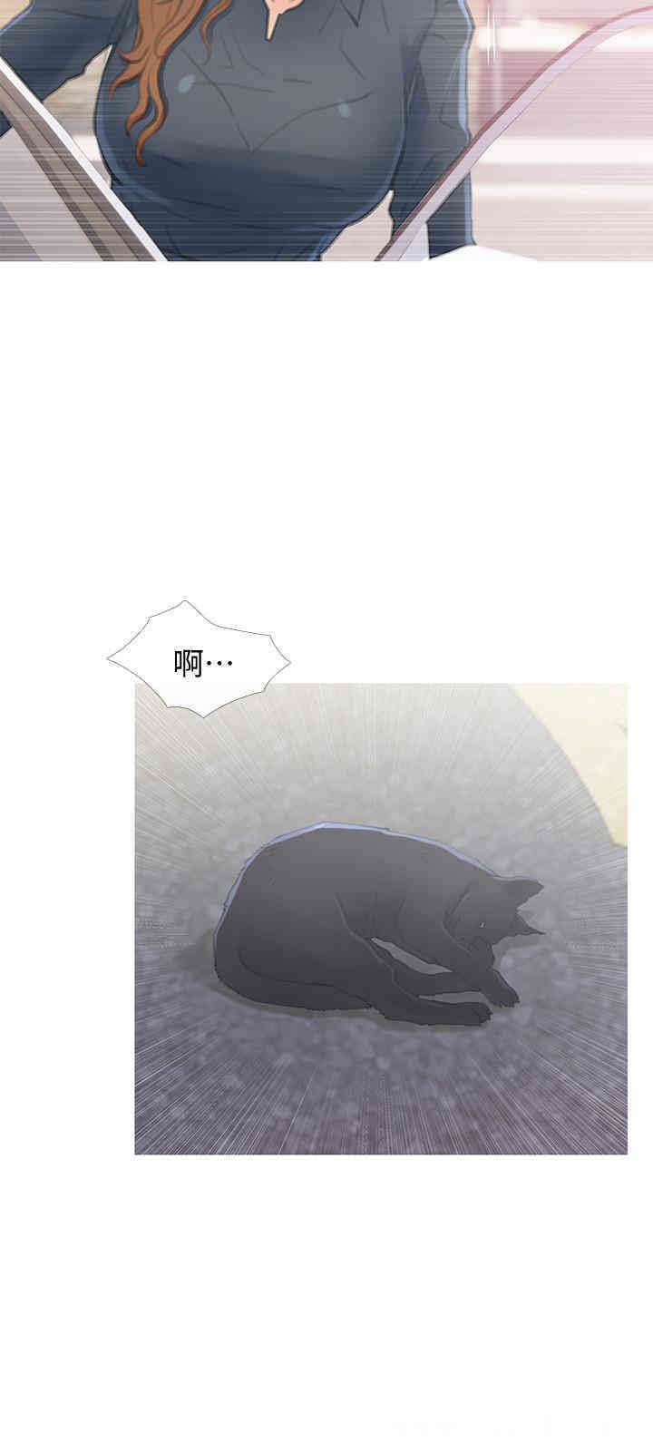 第27张