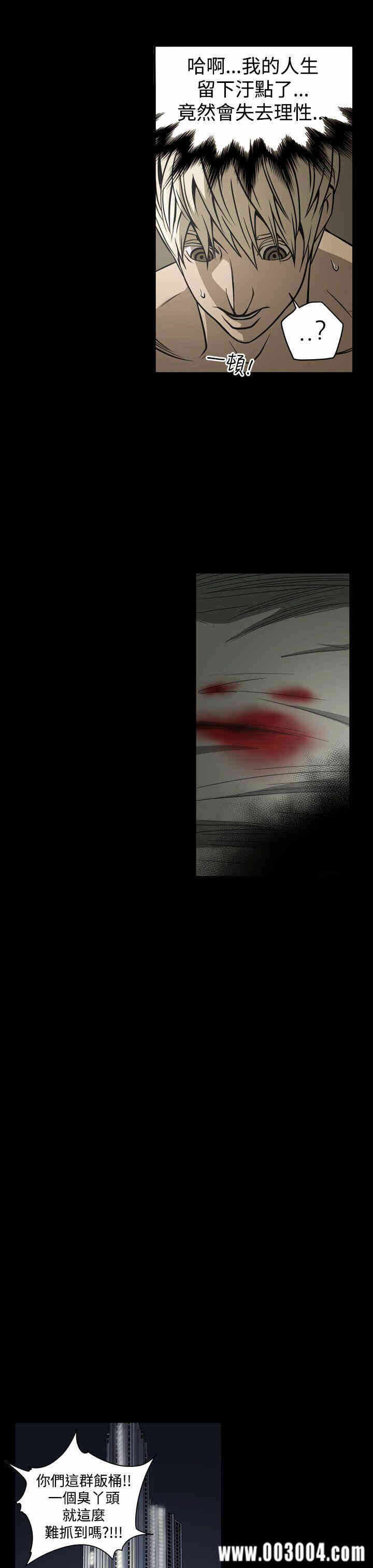 第17张