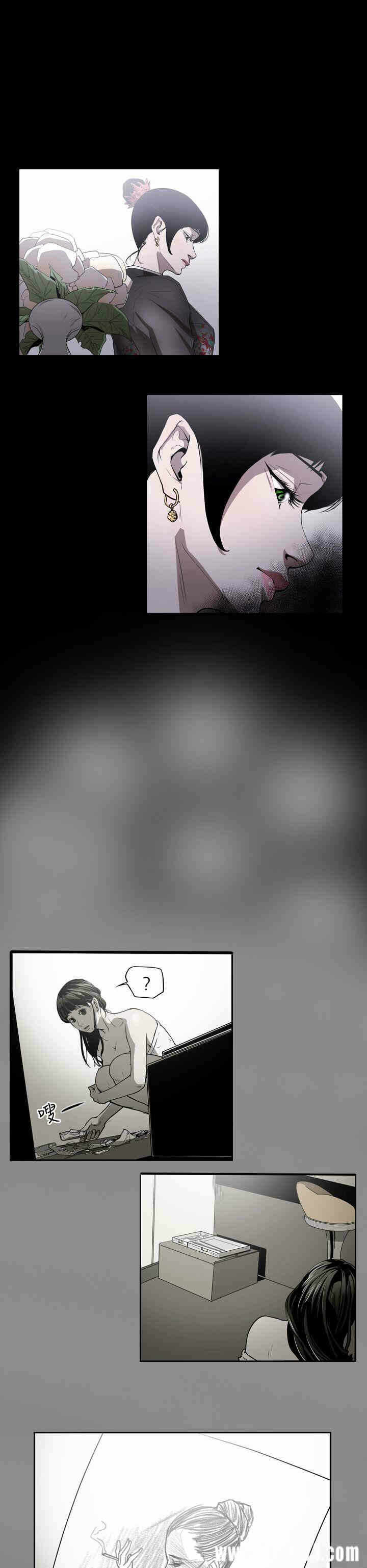 第6张