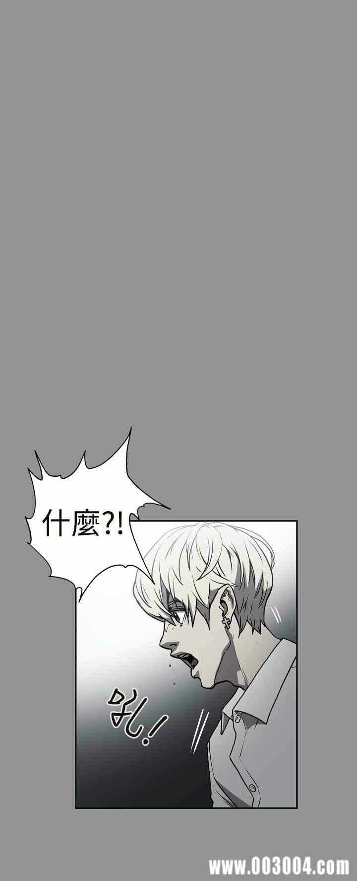第9张
