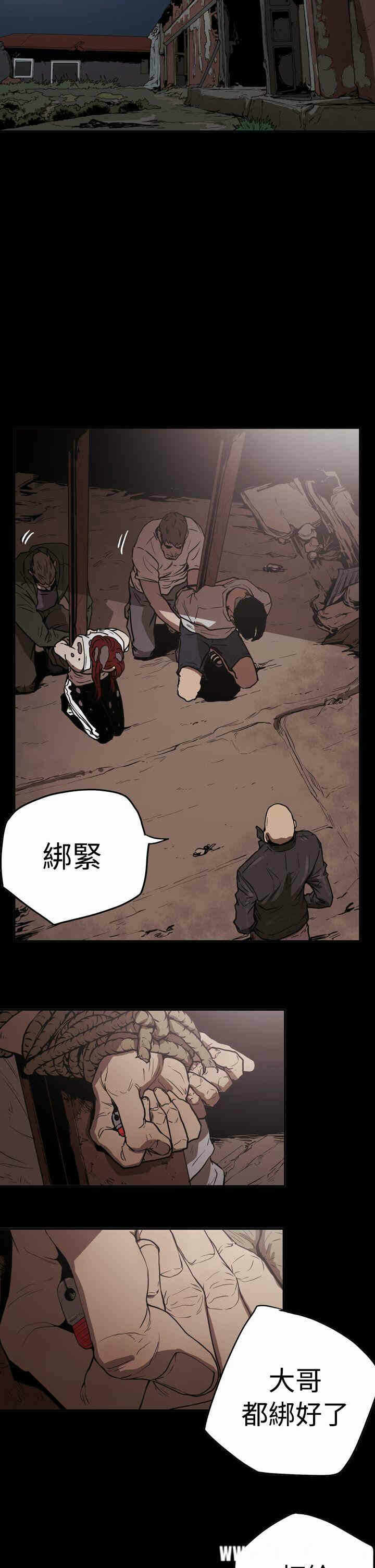 第5张