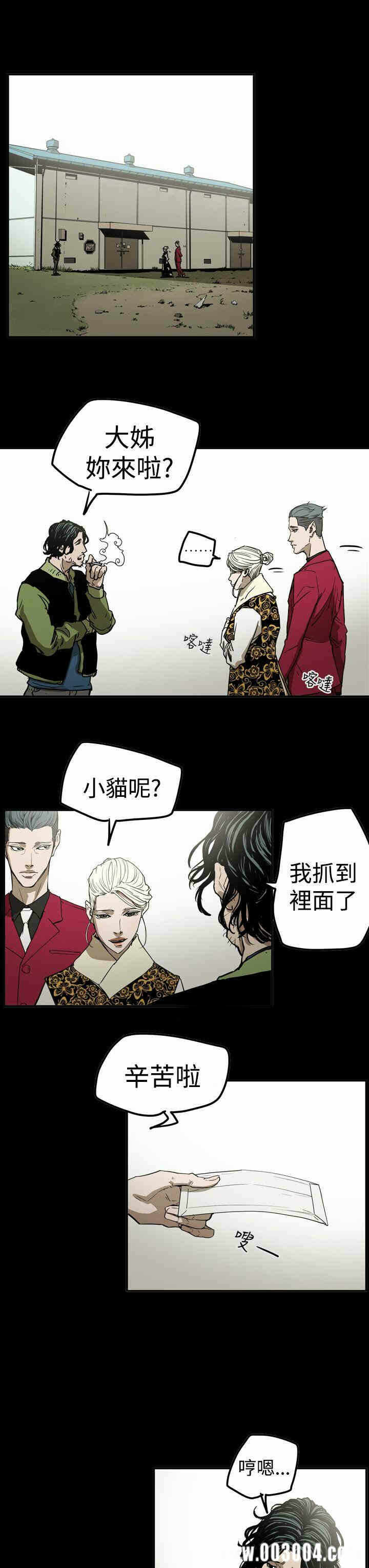 第3张