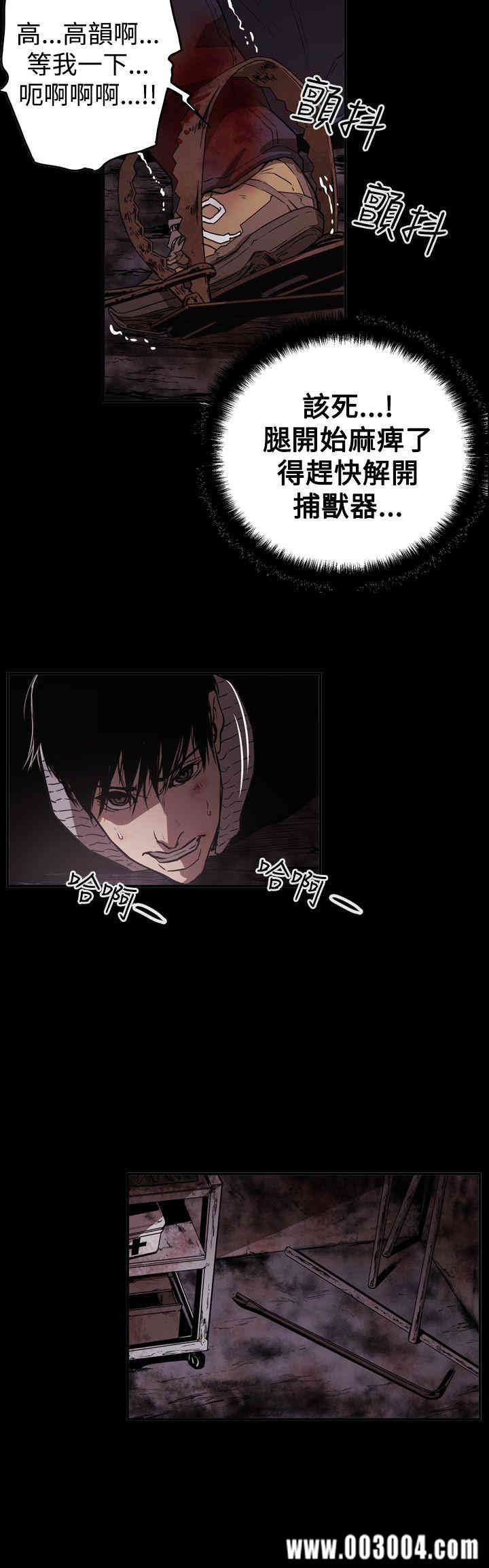 第20张