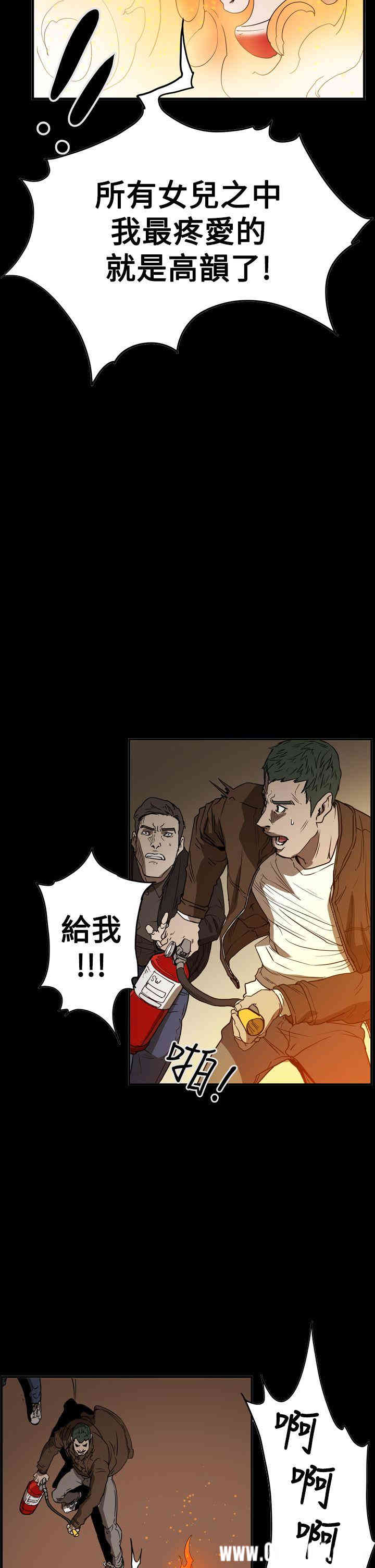 第11张