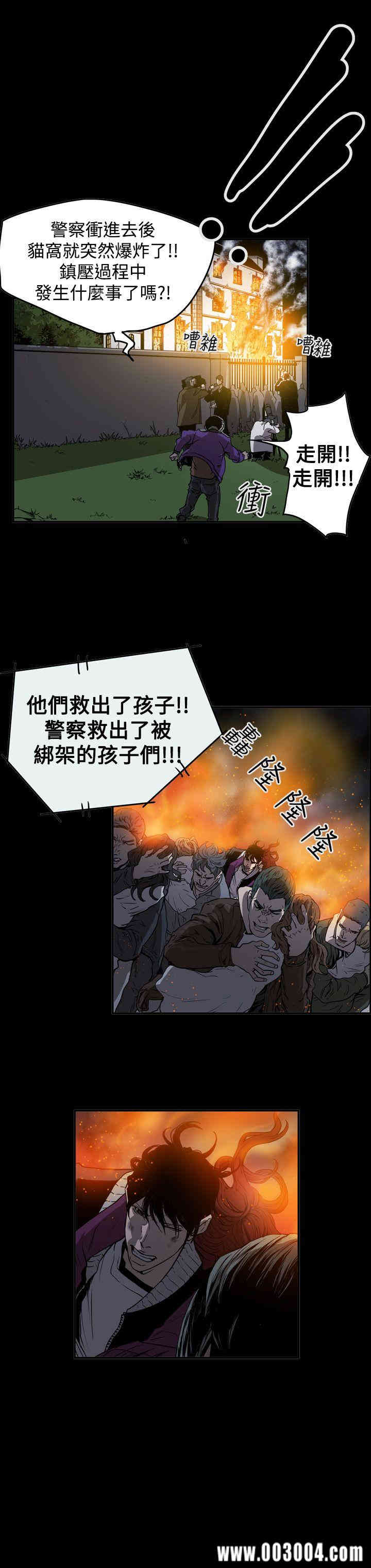 第17张