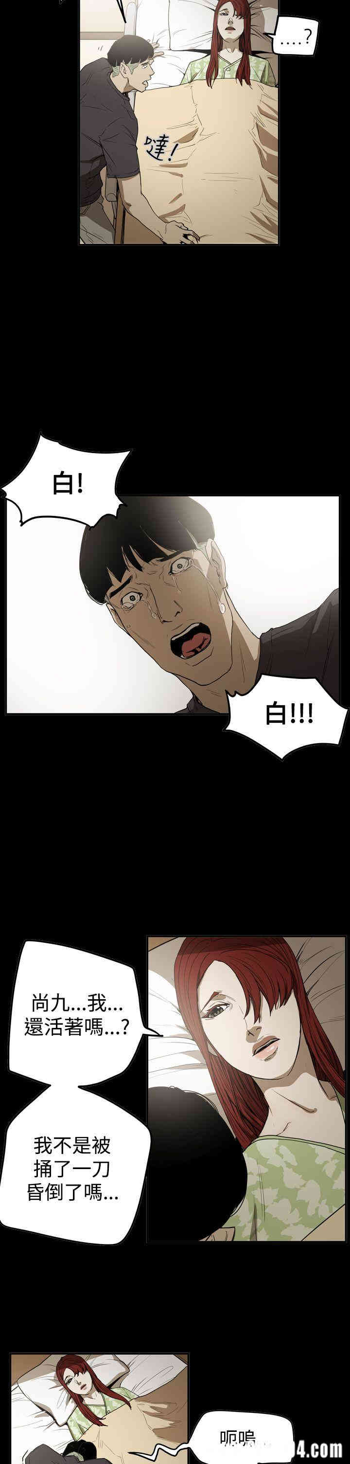 第5张