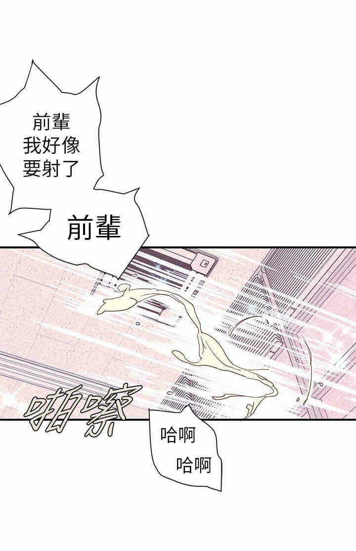 第41张