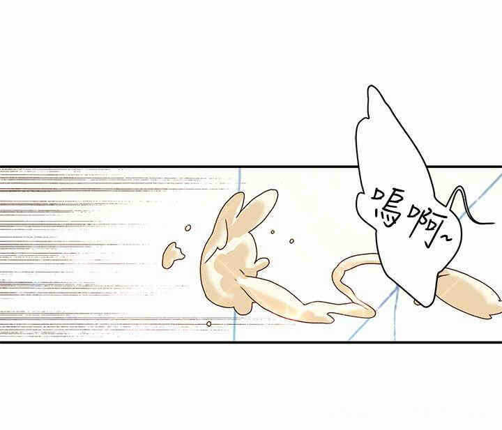 第51张