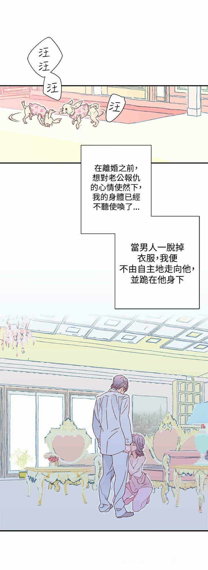 第31张