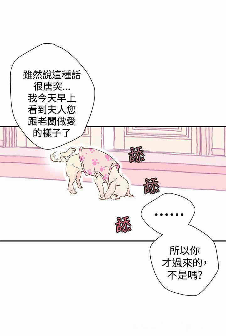 第33张
