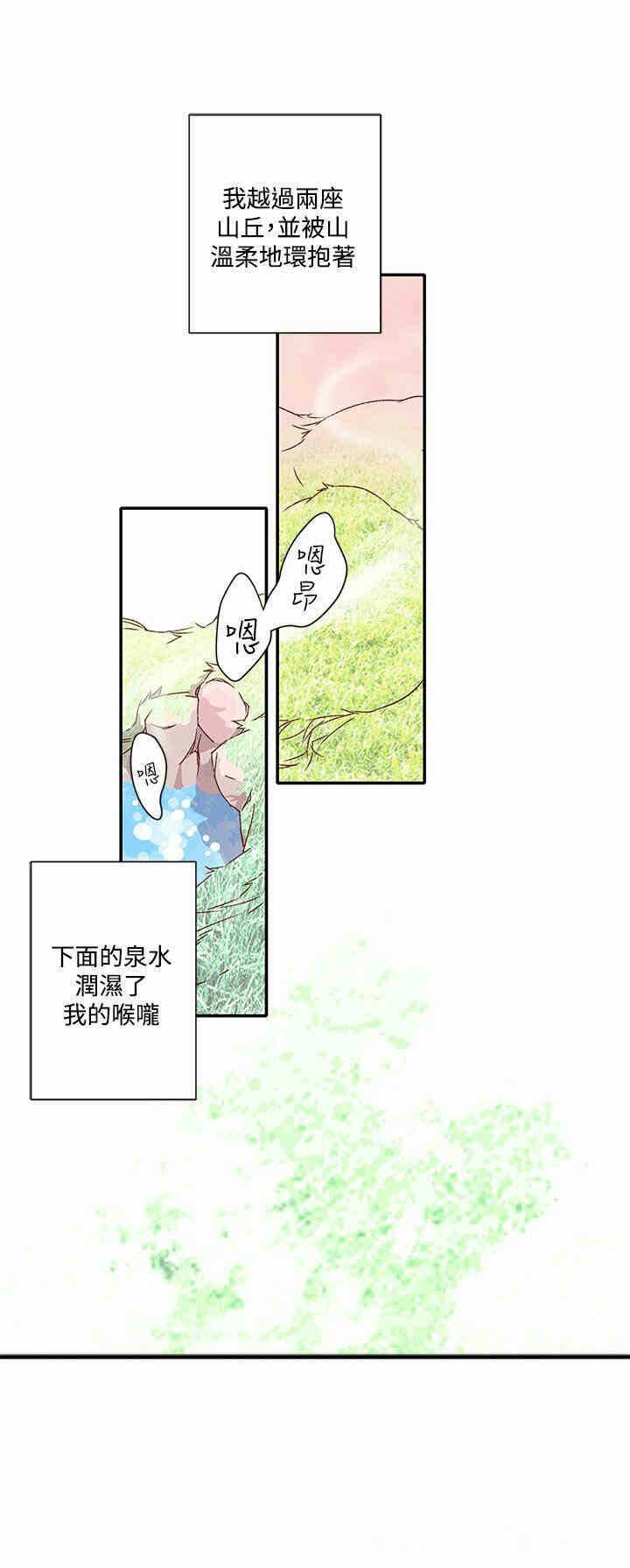 第41张