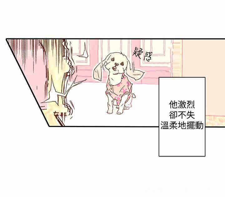 第44张