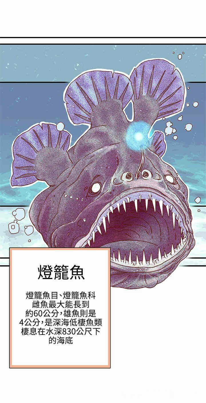 第23张