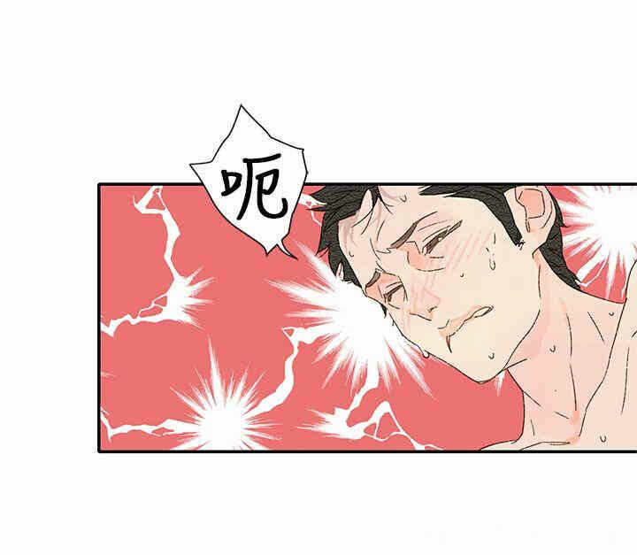 第59张