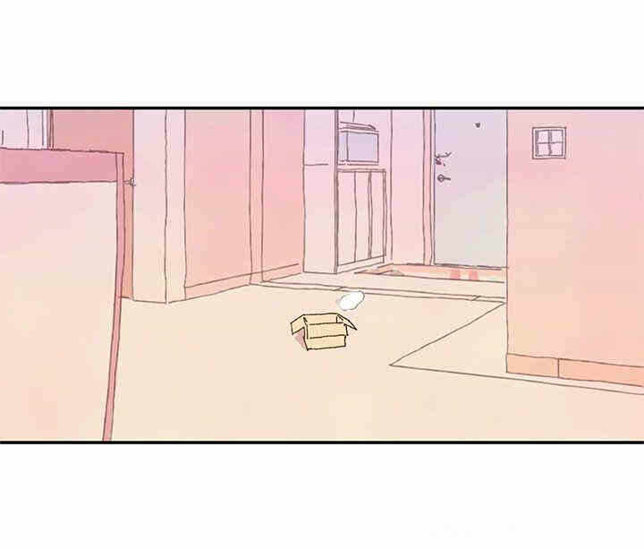 第62张