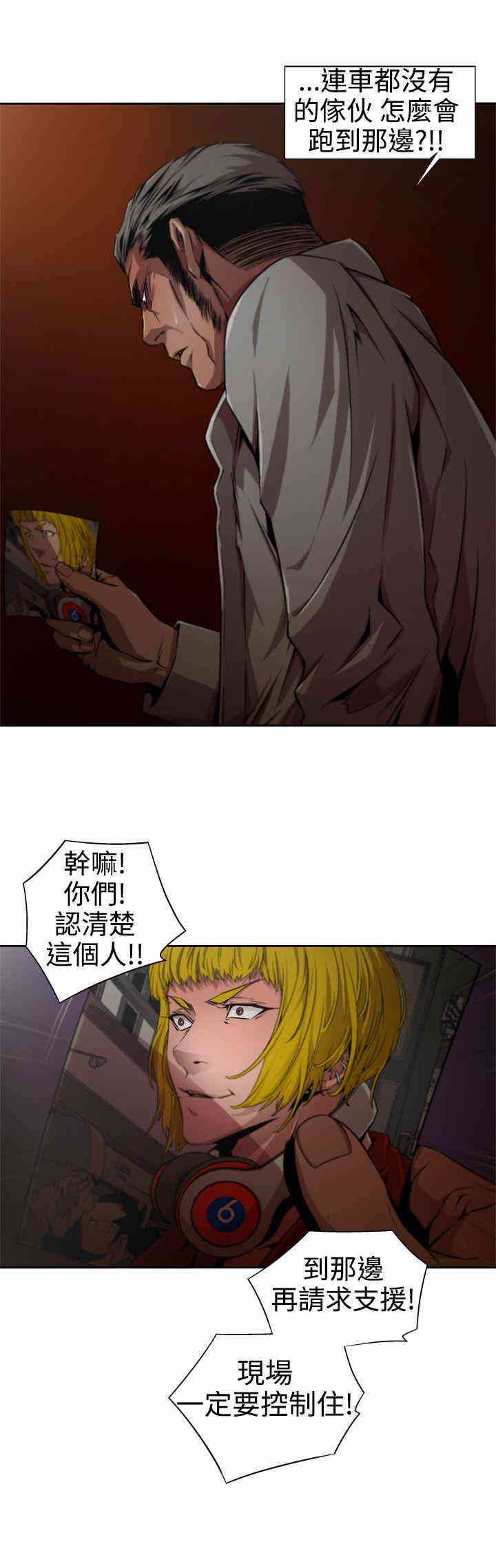 第3张