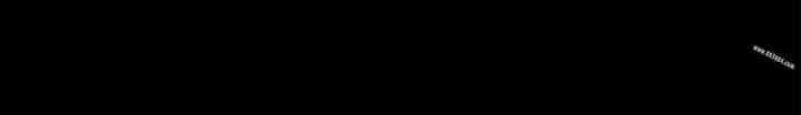 第3张