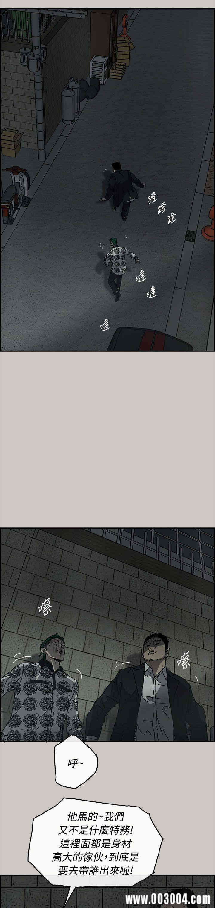 第3张