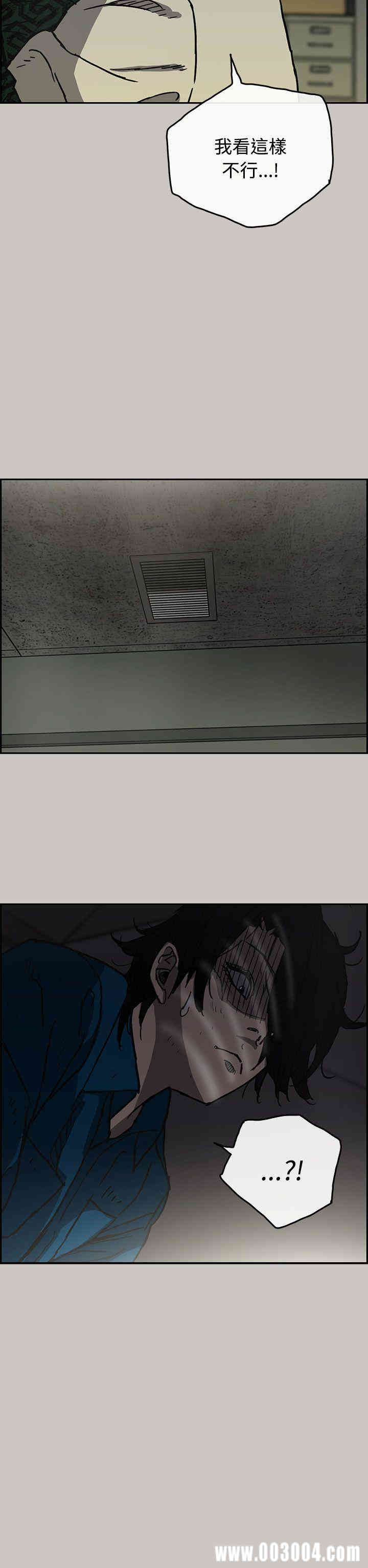 第17张