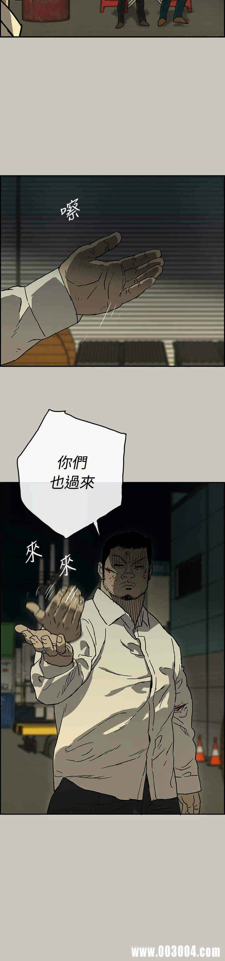 第41张