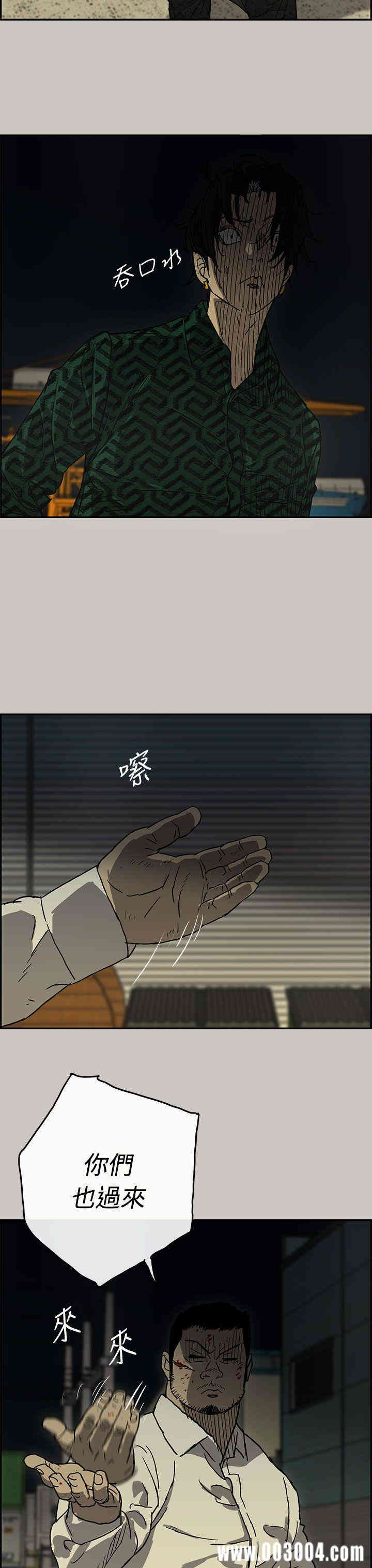 第3张