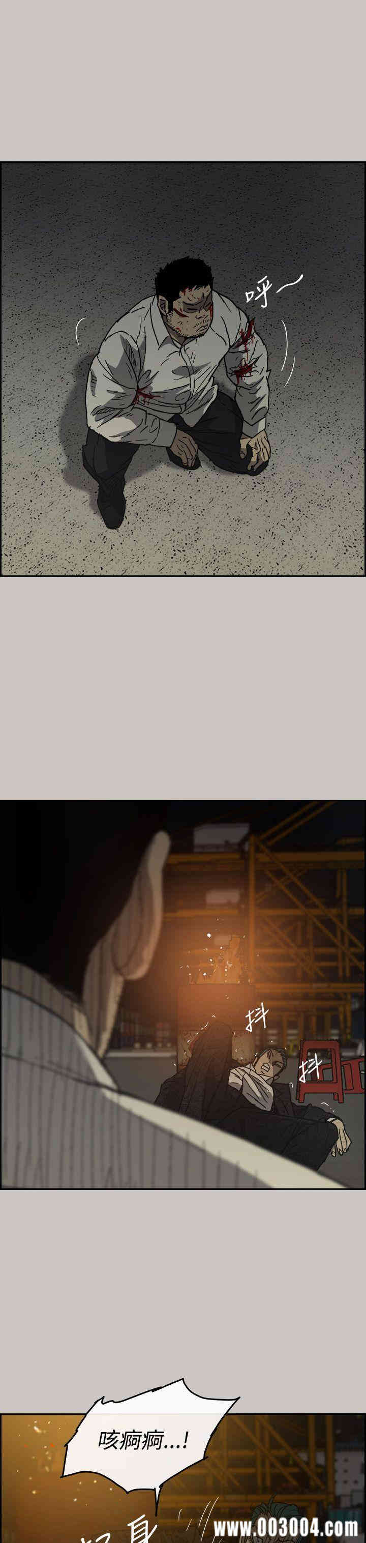 第13张