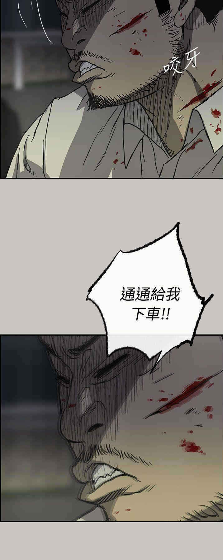 第41张