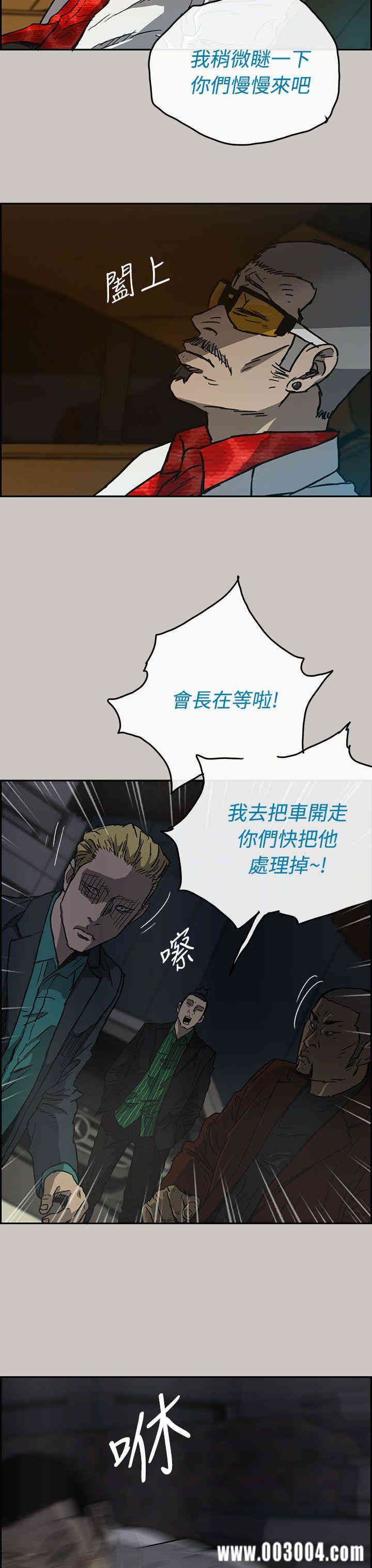 第13张