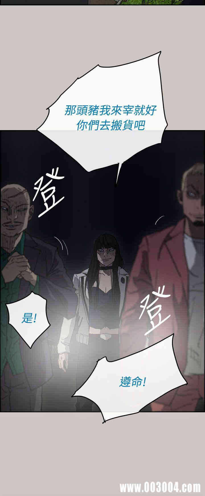 第48张
