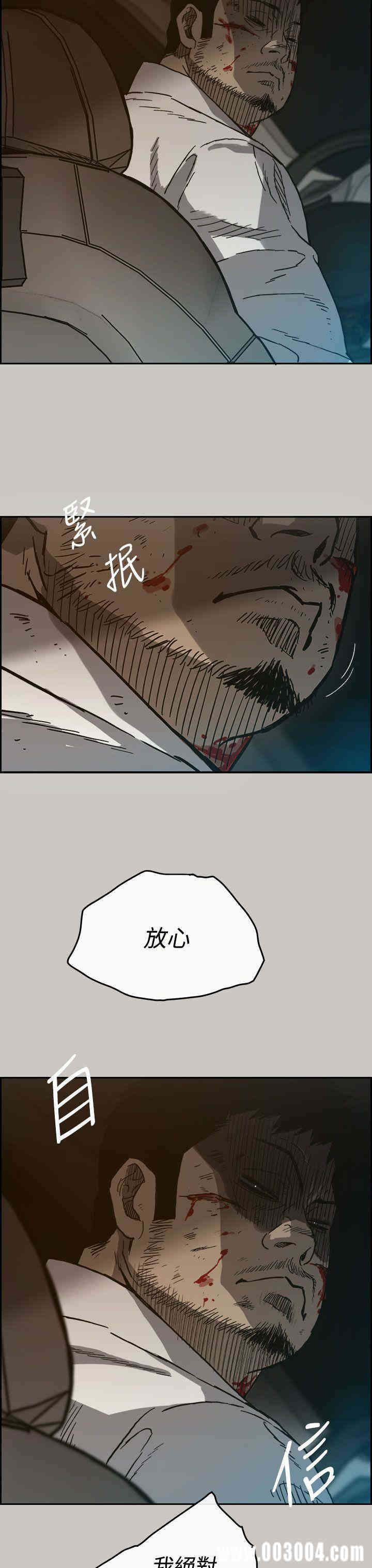 第3张