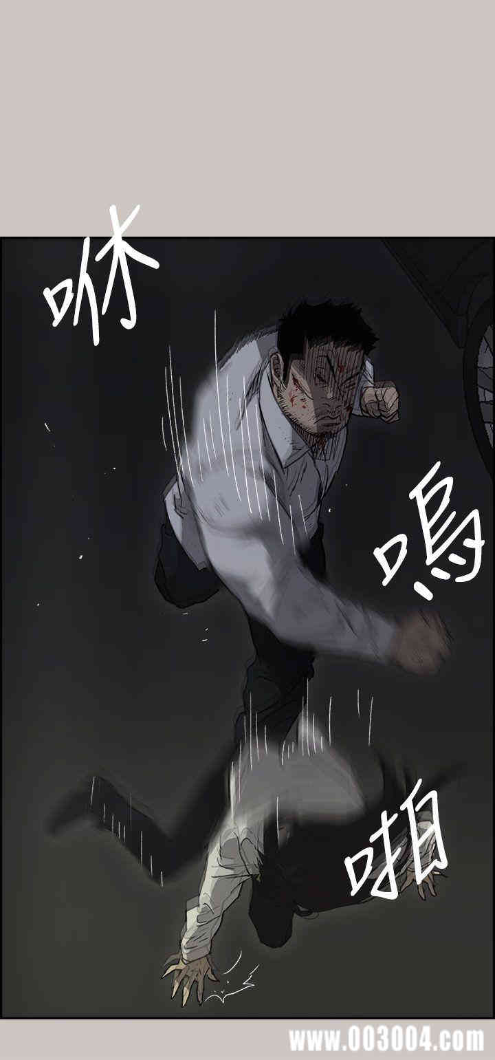第11张