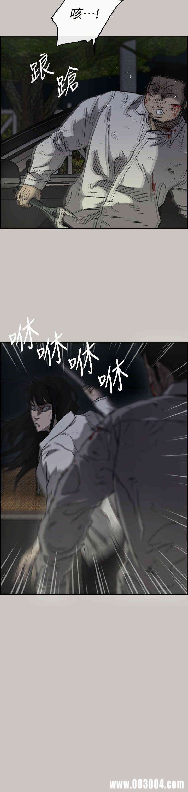 第12张