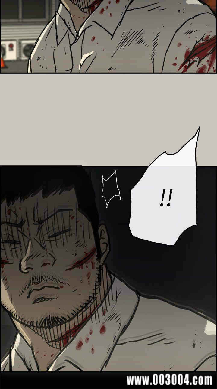 第17张